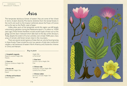 Arboretum Mini - By Katie Scott