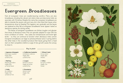Arboretum Mini - By Katie Scott
