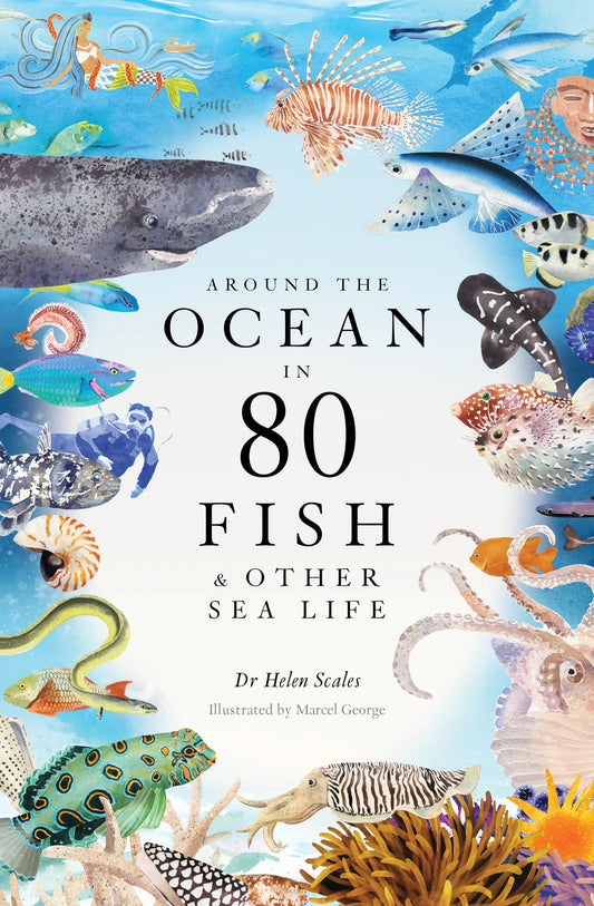 Around the Ocean in 80 Fish and other Sea Life - By Helen Scales