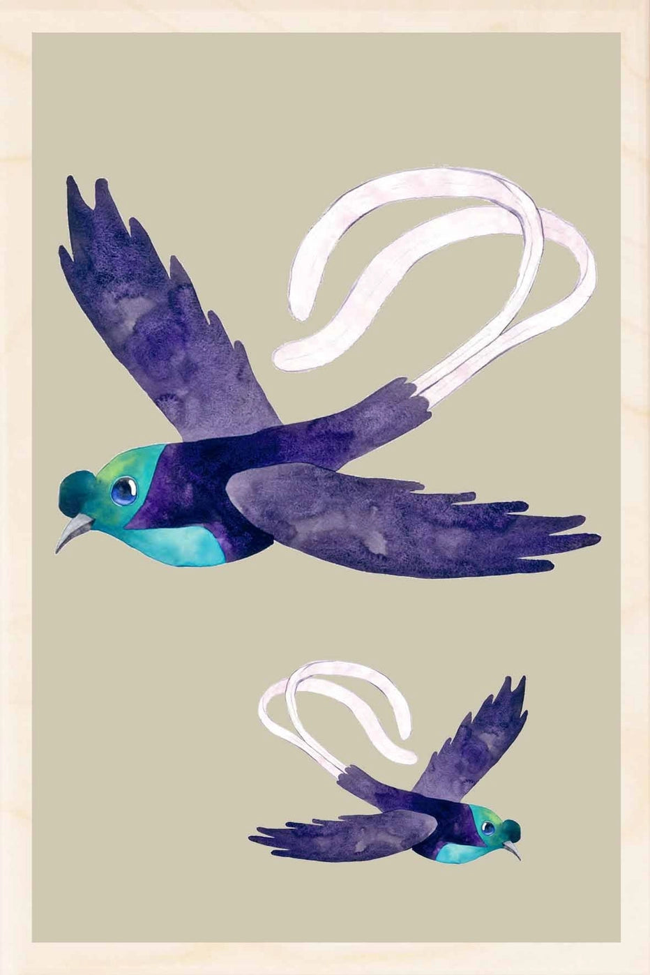 Astrapia Wooden Postcard