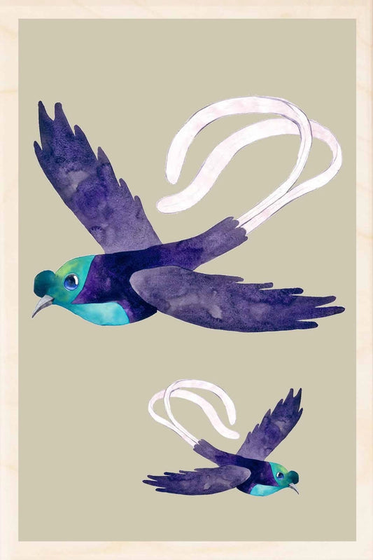 Astrapia Wooden Postcard