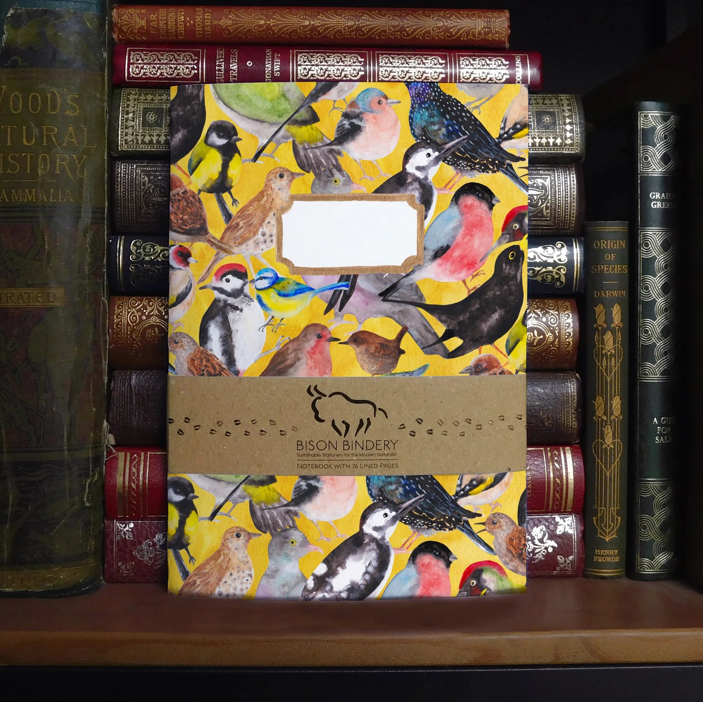 Aves British Garden Birds Lined Journal