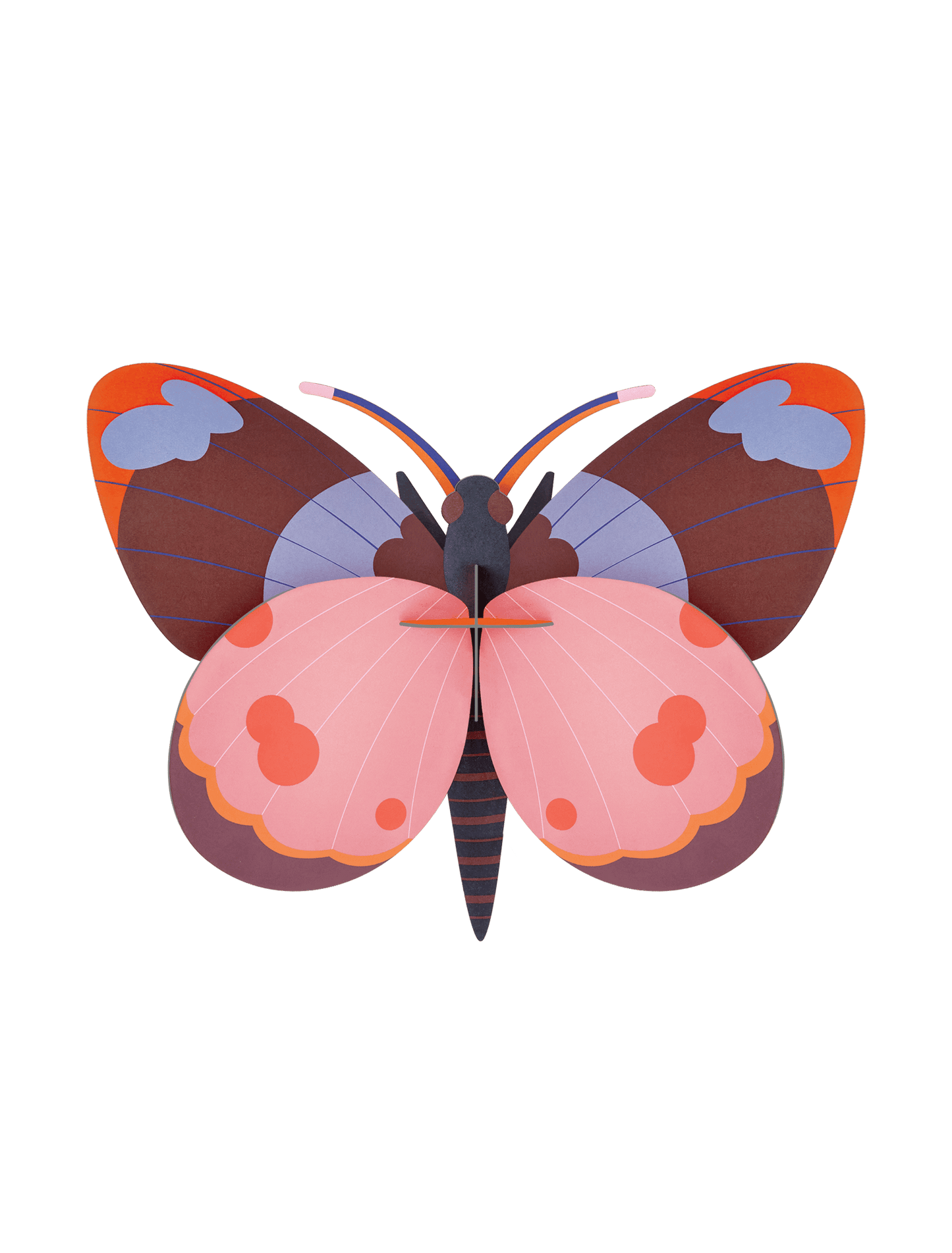 Bellissima Butterfly - StudioROOF