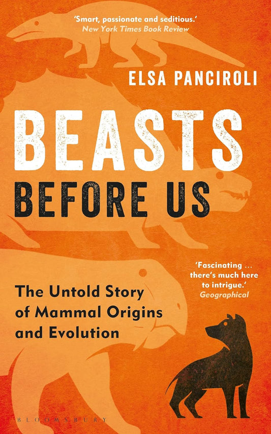 Beasts Before Us - By Elsa Panciroli
