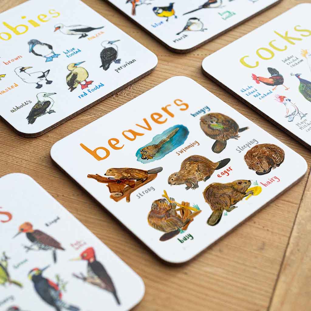Beavers Coaster