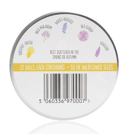Wildflower Seedball Tin - Bee Mix