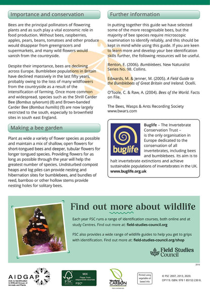 Bees of Britain - Wild ID Guide