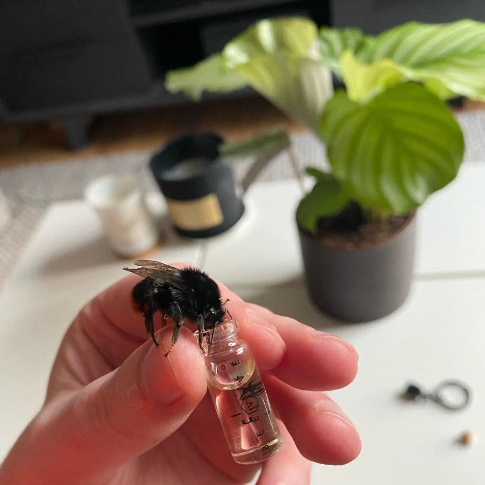 Bamboo Bee Revival Kit - Silver