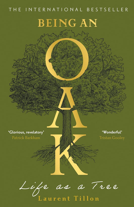 Being an Oak: Life as a Tree - By Laurent Tillon