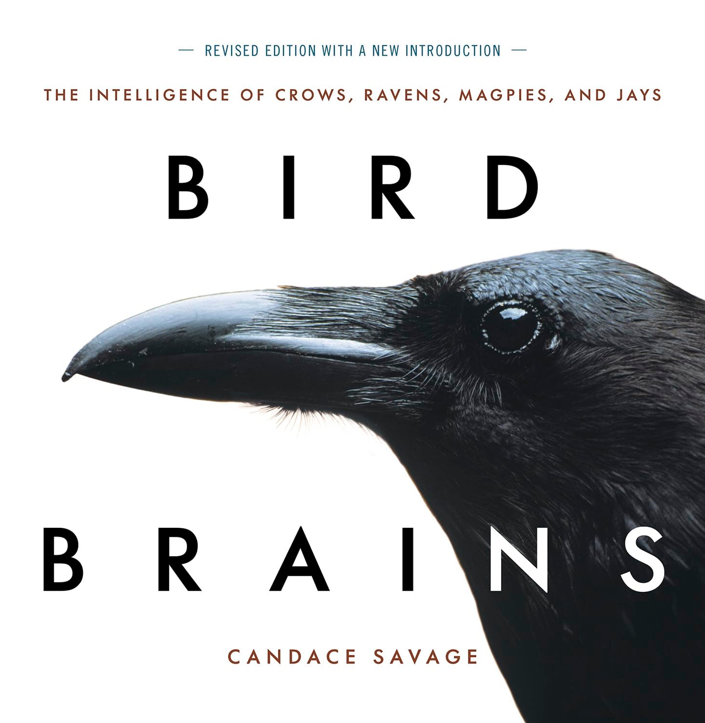 Bird Brains - By Candace Savage