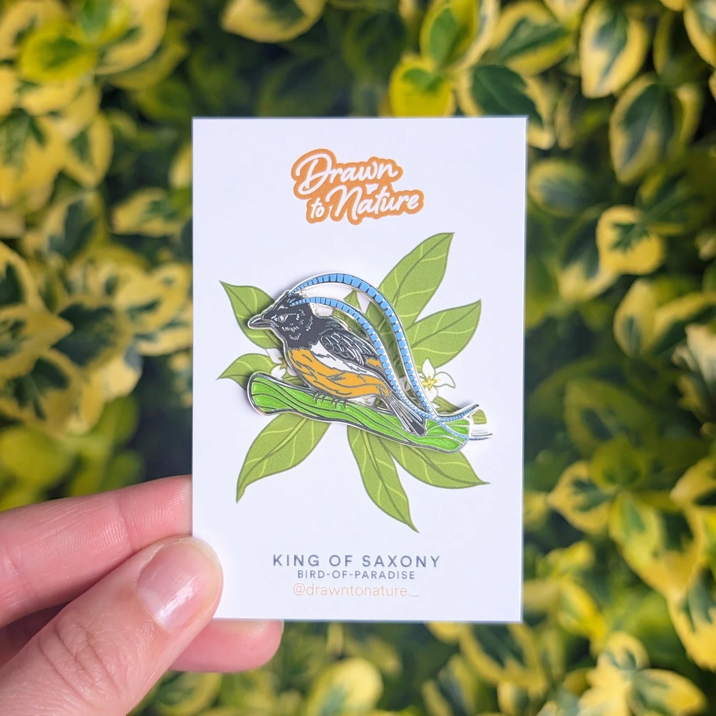 Bird of Paradise Enamel Pin