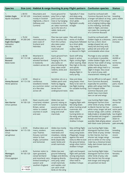 British Birds of Prey - Wild ID Guide