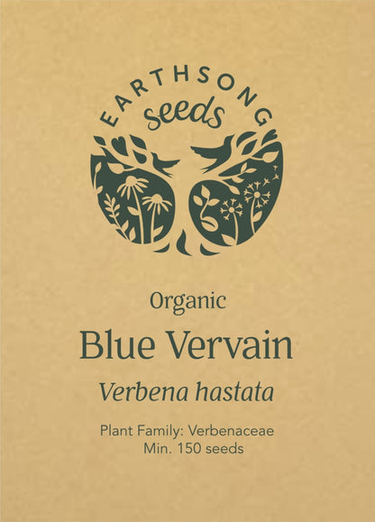 Blue Vervain - Seed Packet