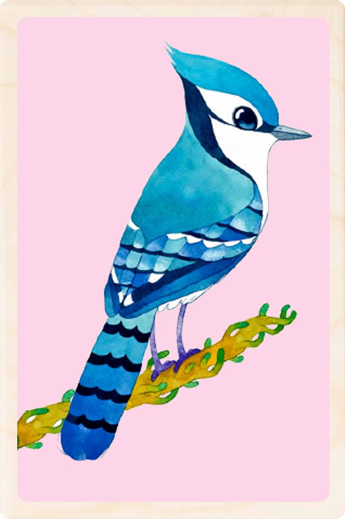 Blue Jay Wooden Postcard