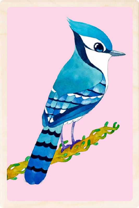 Blue Jay Wooden Postcard