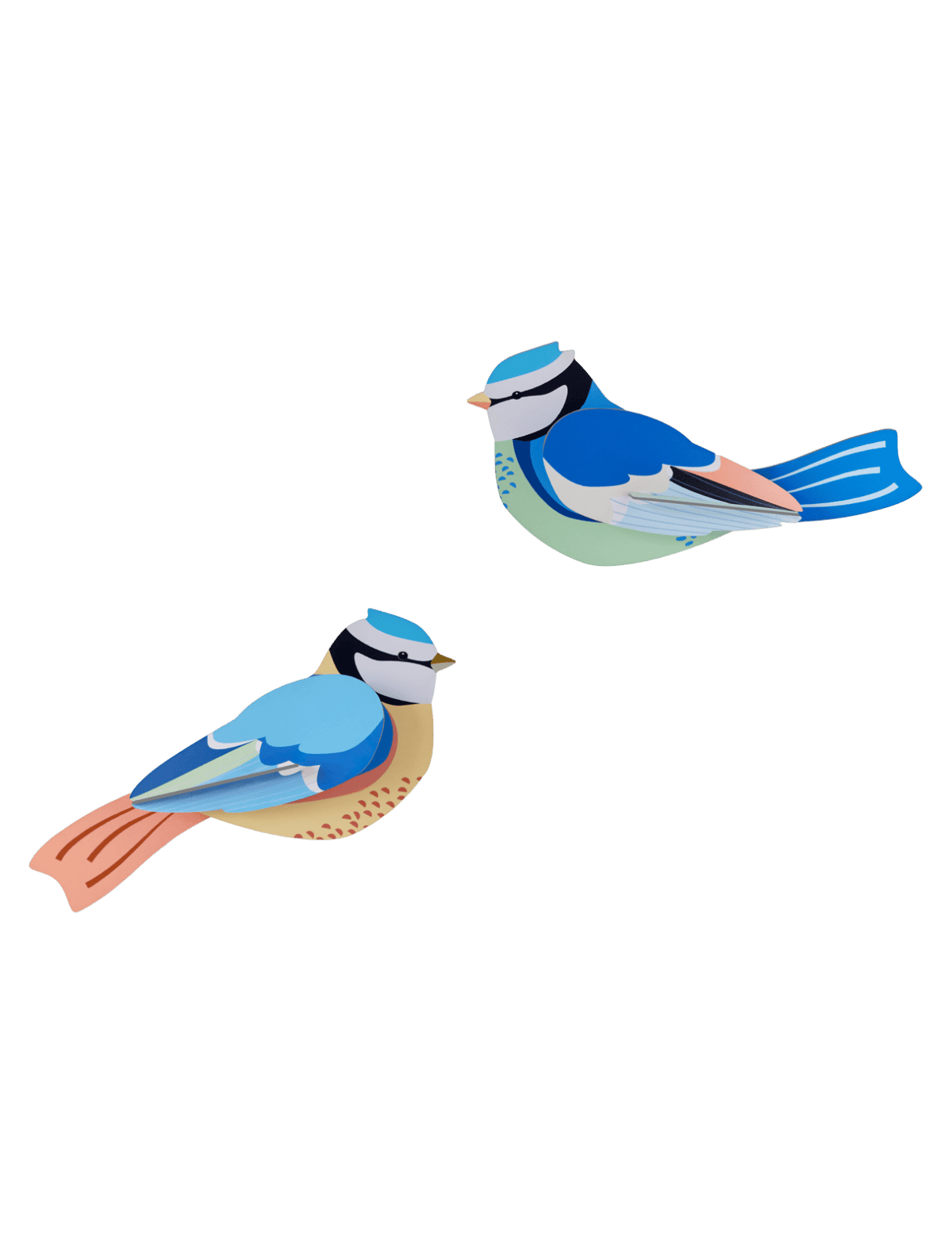 Blue Tits - StudioROOF