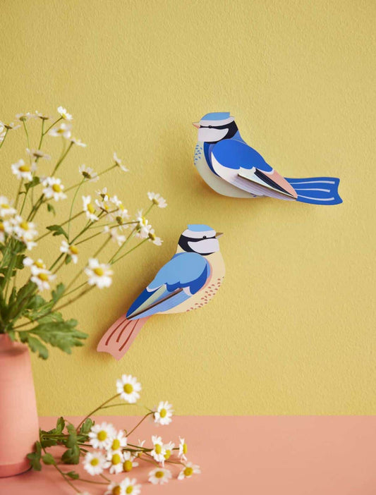 Blue Tits - StudioROOF