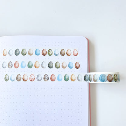British Bird Eggs Washi Tape