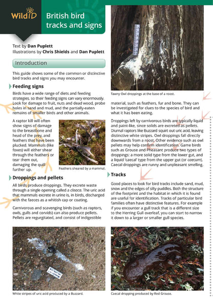 British Bird Tracks and Signs - Wild ID Guide