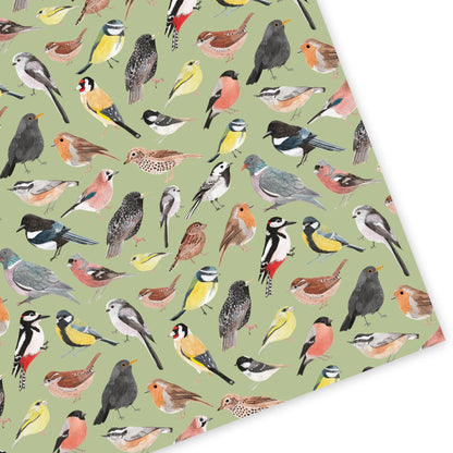 British Birds Wrapping Paper (Pack of 3 Sheets)