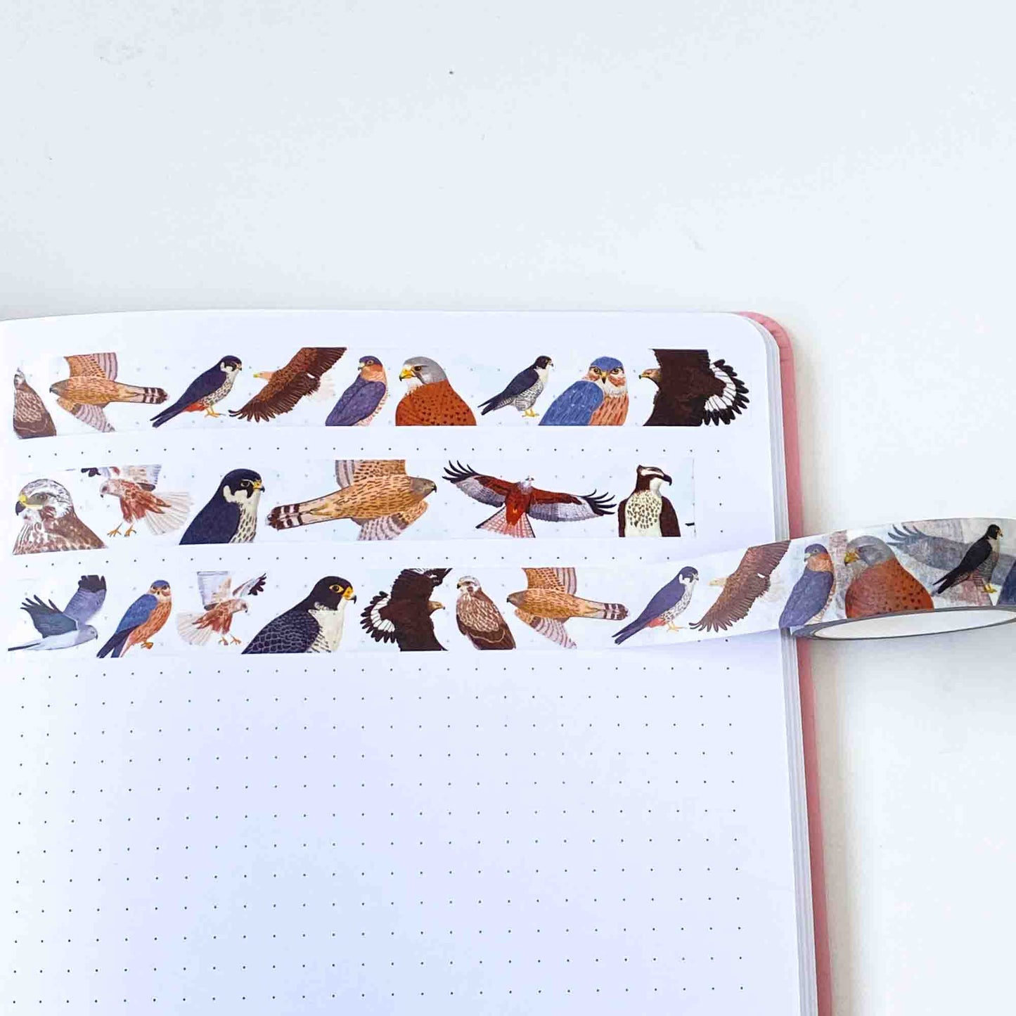 British Bird of Prey Washi Tape