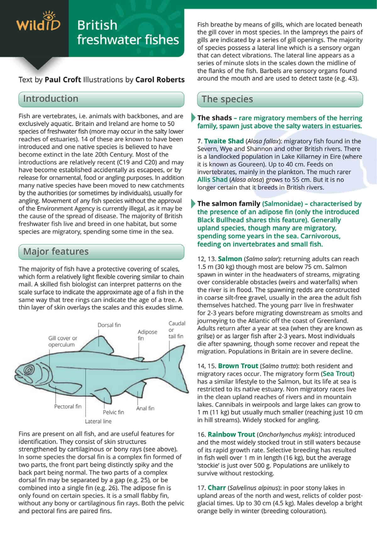 British Freshwater Fishes - Wild ID Guide