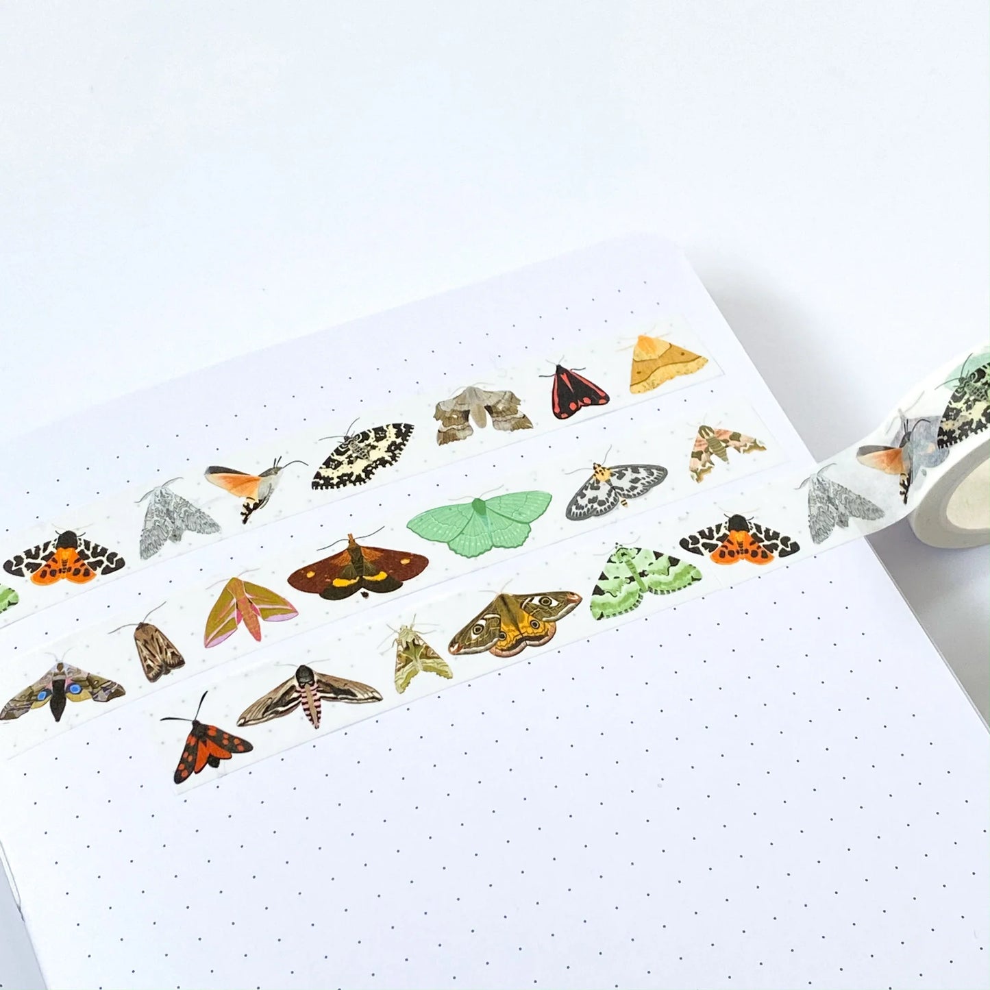 British Moths Washi Tape
