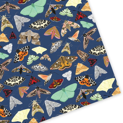 British Moths Wrapping Paper (Pack of 3 Sheets)