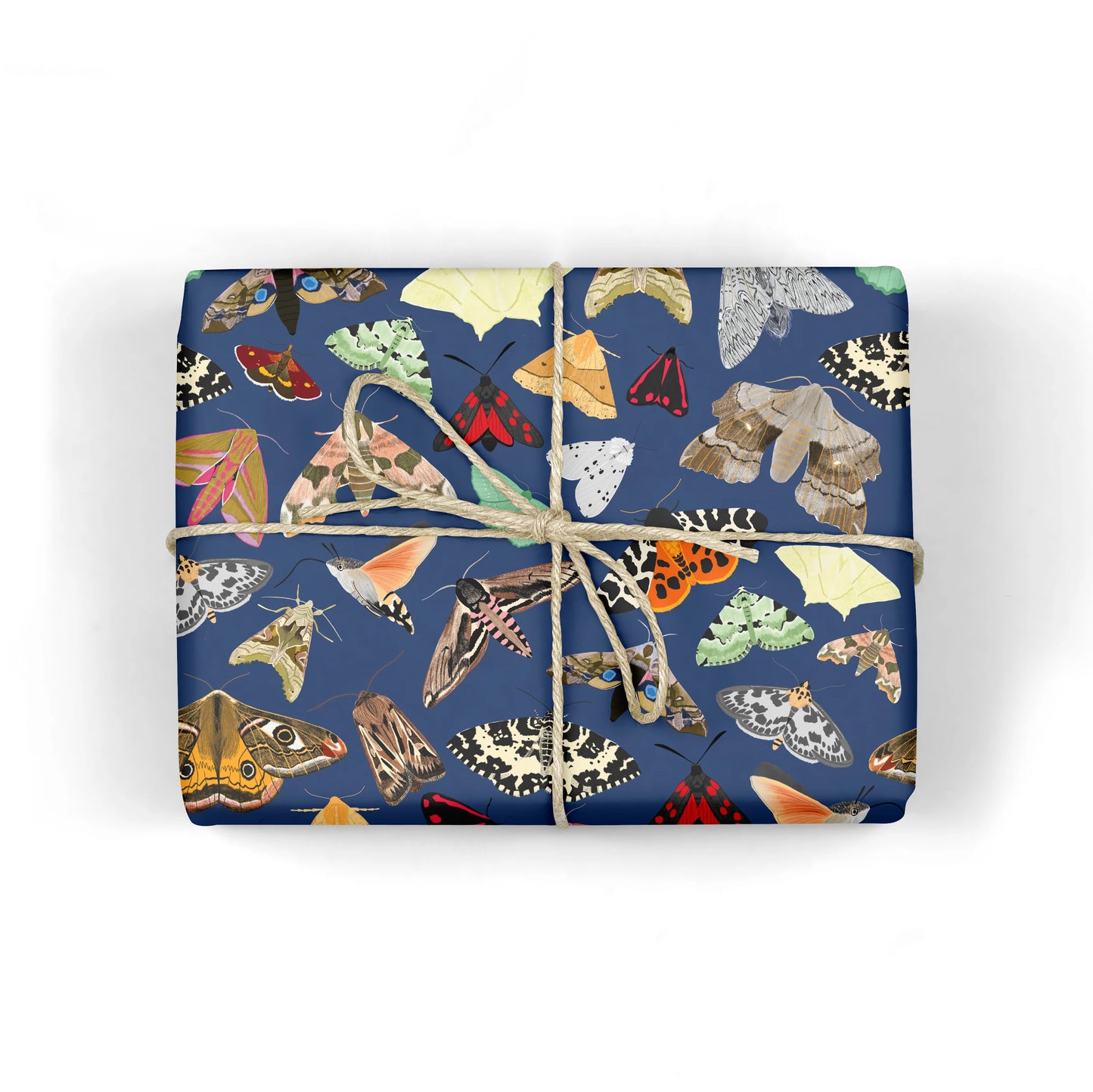British Moths Wrapping Paper (Pack of 3 Sheets)