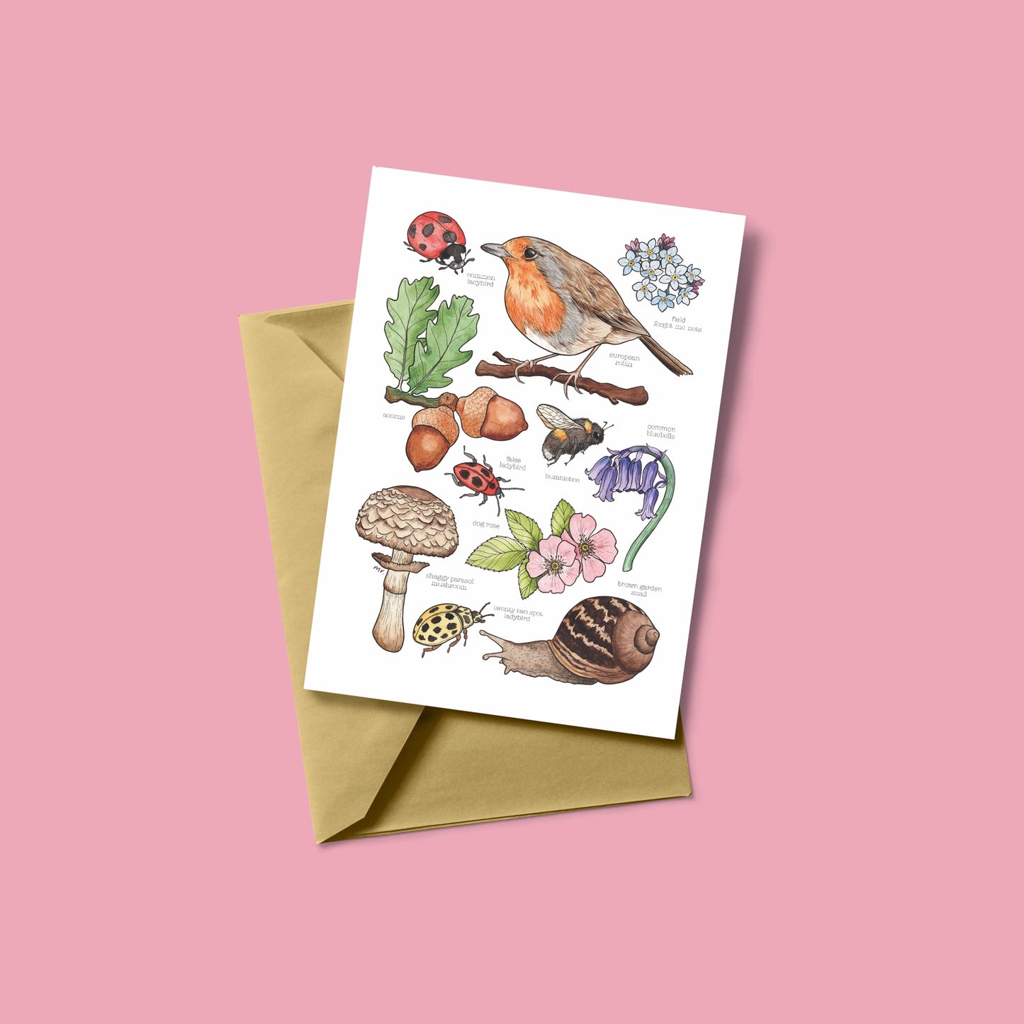 British Wildlife Greetings Card