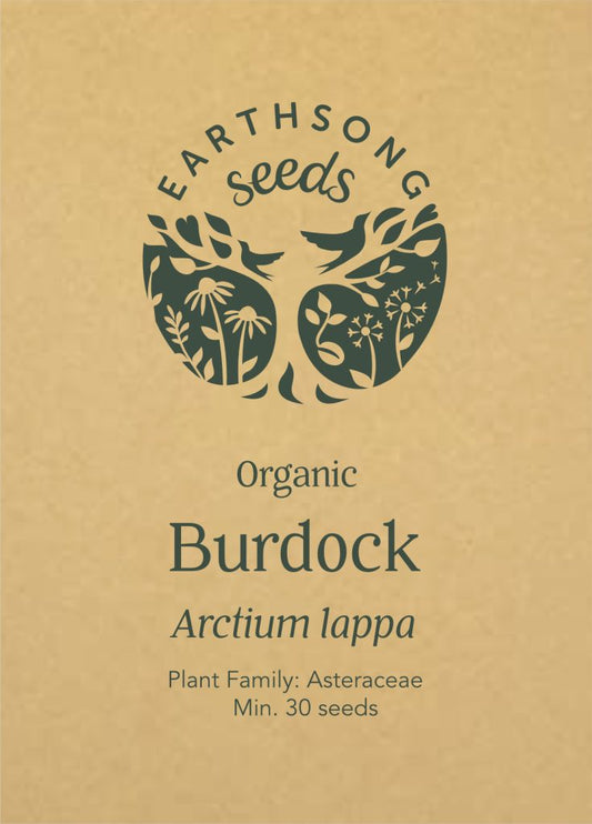 Burdock - Seed Packet