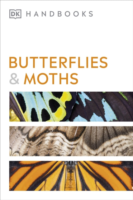 Butterflies and Moths - By David Carter