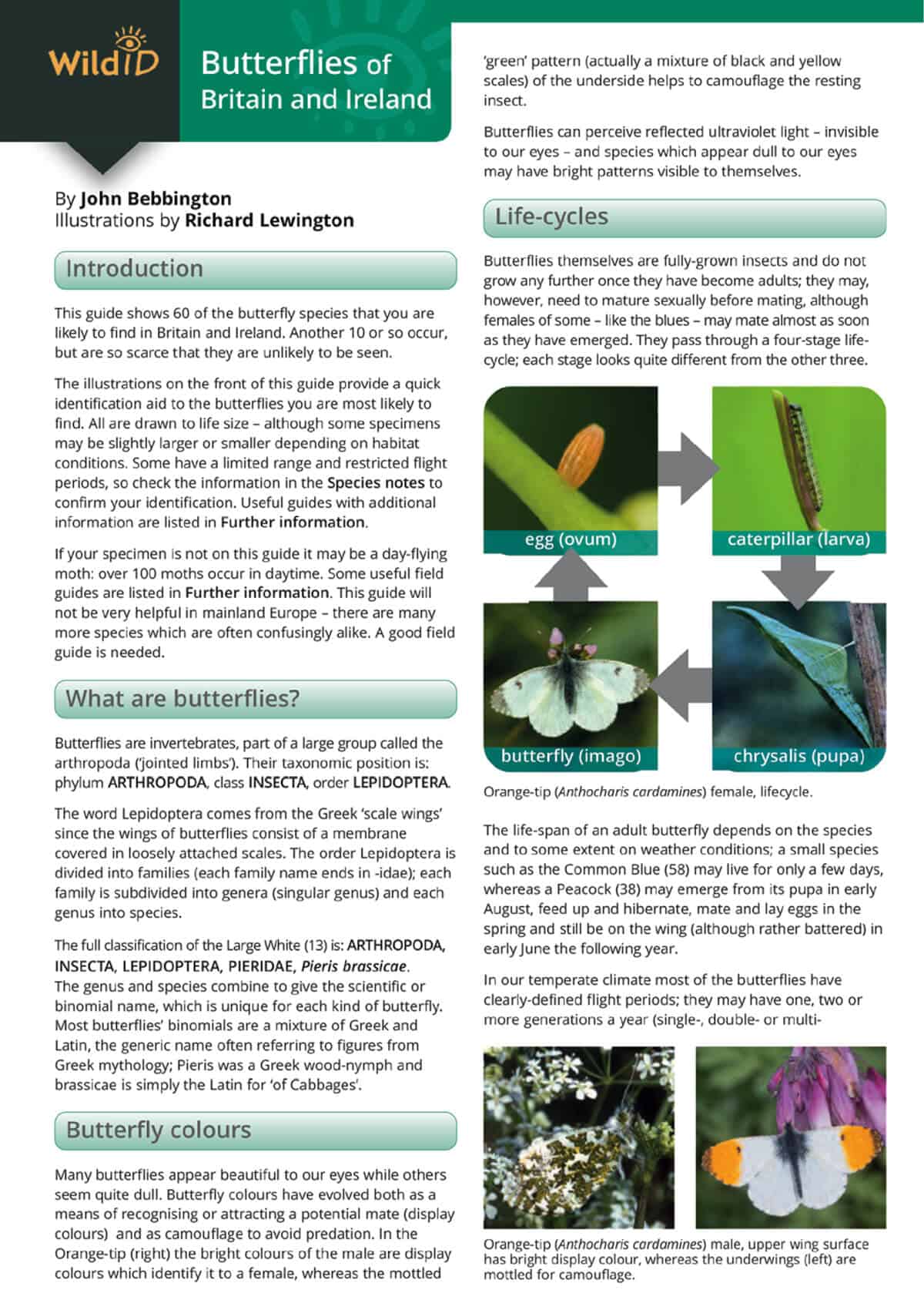 Butterflies of Britain and Ireland - Wild ID Guide