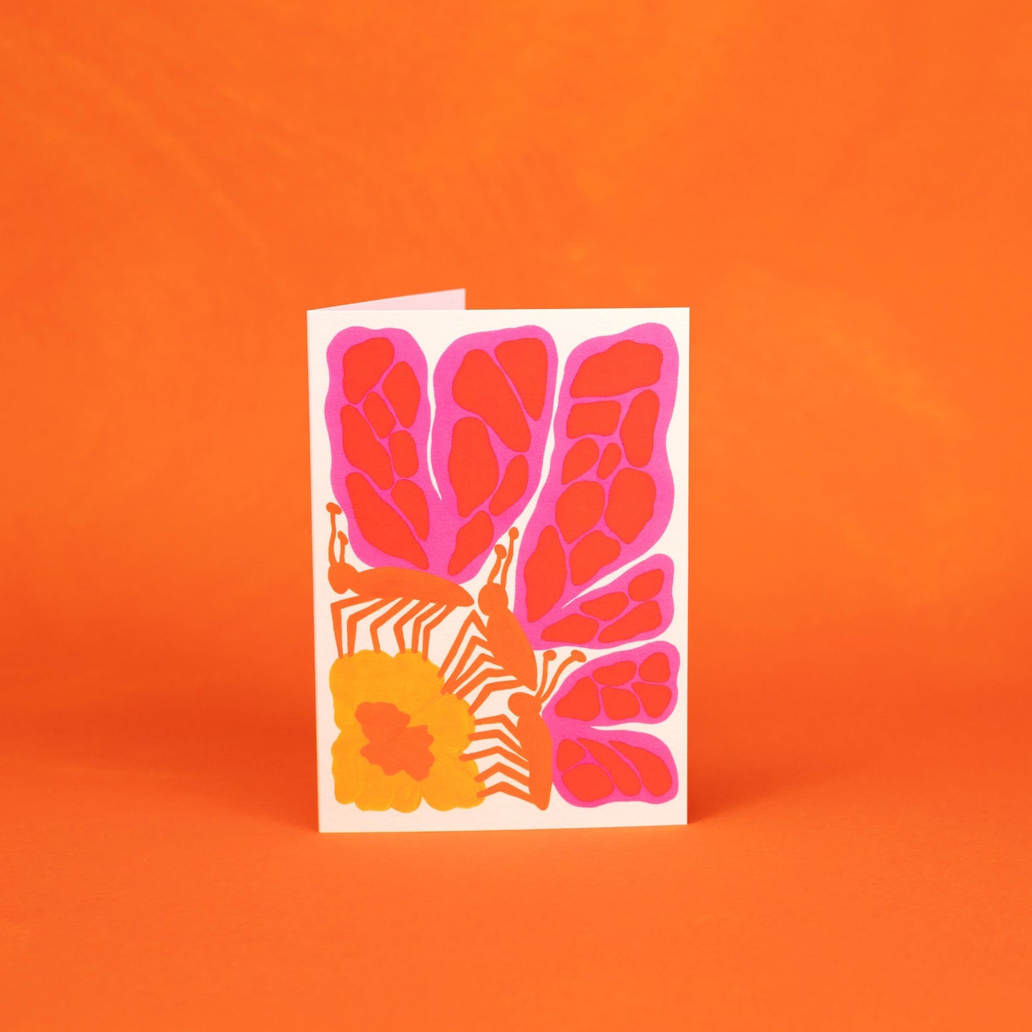 Butterflies of the Amazon WWF - Greetings Card