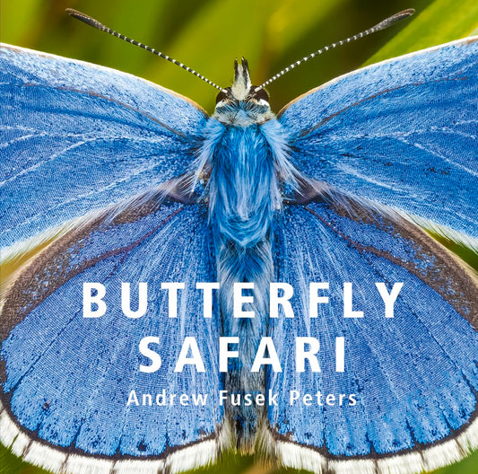 Butterfly Safari - By Andrew Fusek Peters
