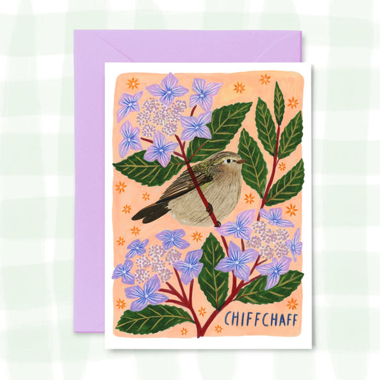 Chiffchaff - Greetings Card