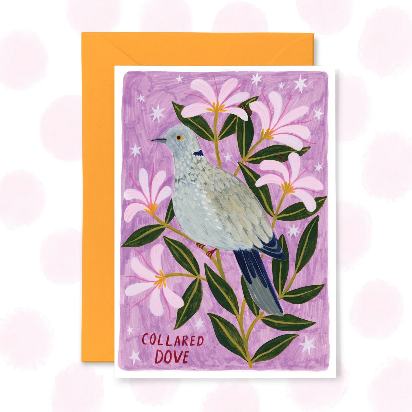 Collard Dove - Greetings Card