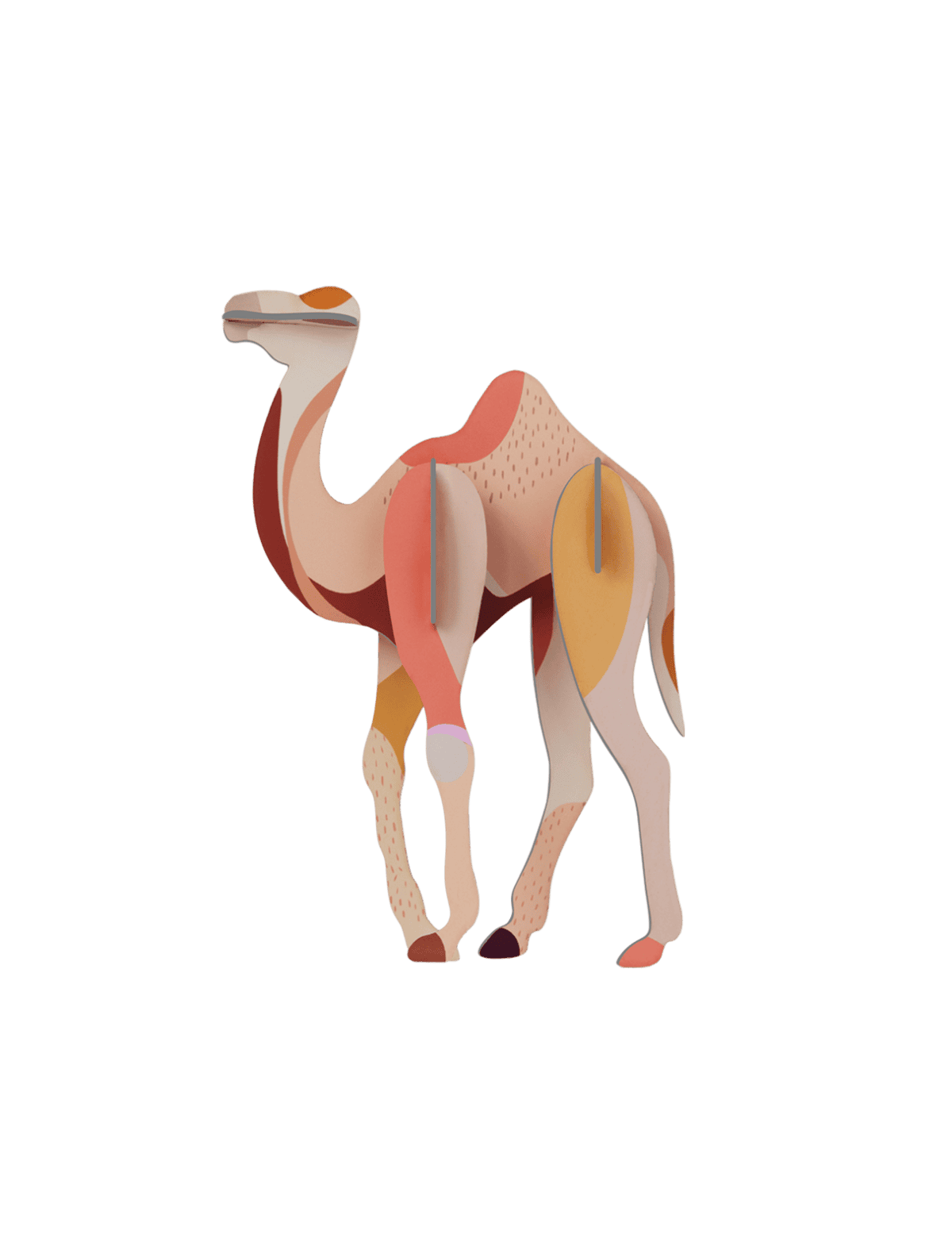 Camel - StudioROOF