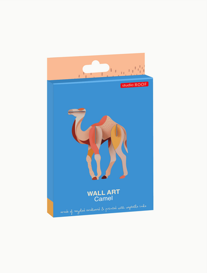 Camel - StudioROOF