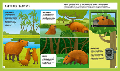 Young Zoologist Capybara