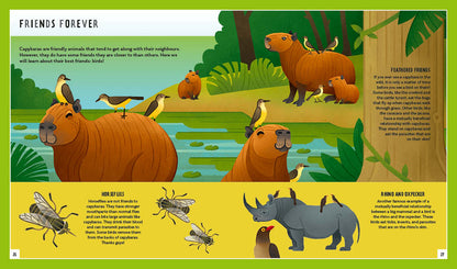 Young Zoologist Capybara