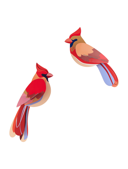 Cardinals - StudioROOF