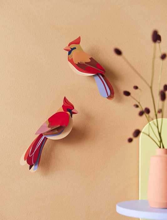 Cardinals - StudioROOF