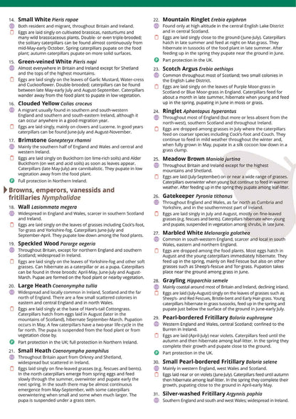 Caterpillars of the Butterflies of Britain and Ireland - Wild ID Guide