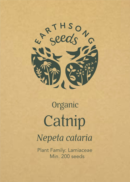 Catnip - Seed Packet