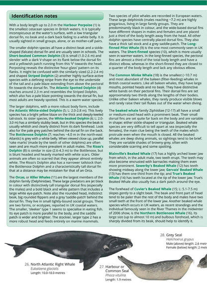 UK Cetaceans and Seals - Wild ID Guide