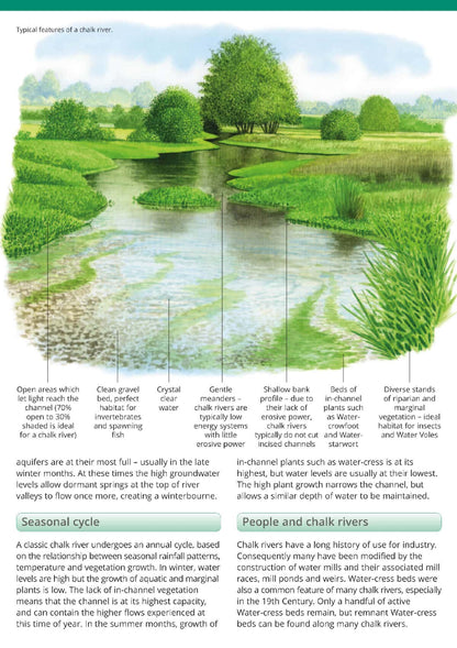 Chalk Rivers of England - Wild ID Guide