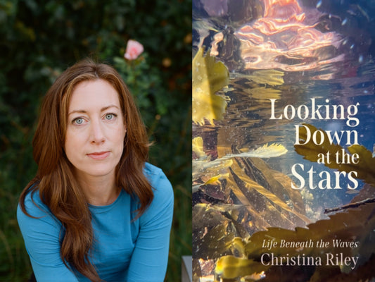 18th June - Christina Riley 'Looking Down at the Stars'
