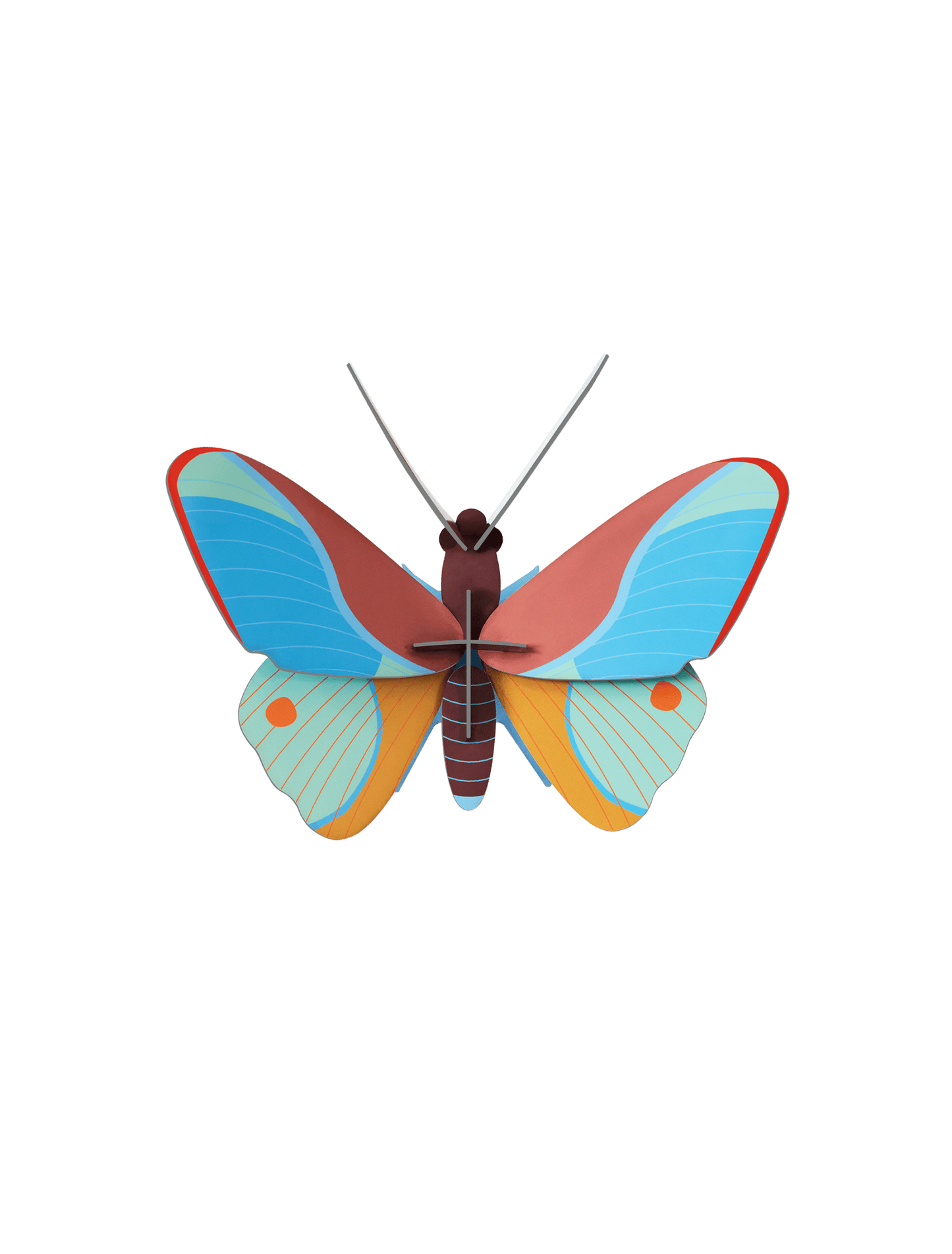 Claudina Butterfly - StudioROOF