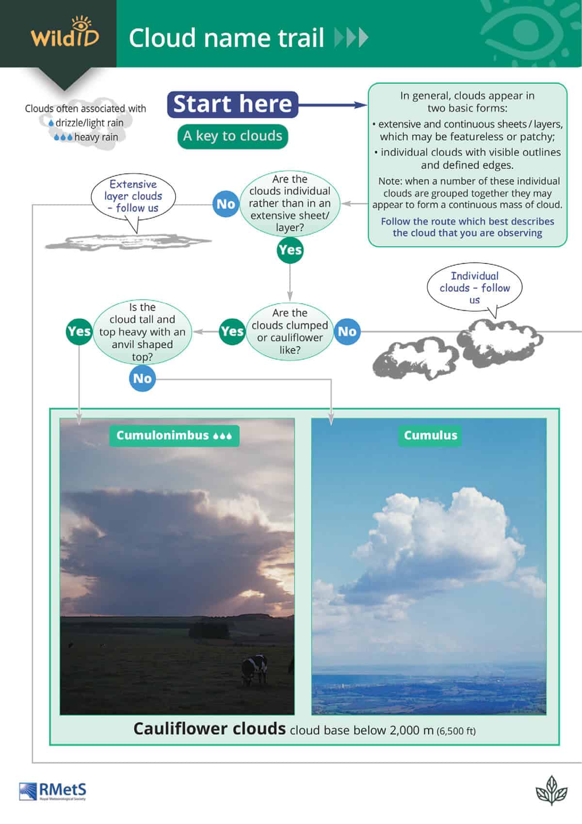 Cloud Name Trail - Wild ID Guide